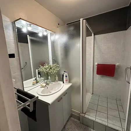 Meuble Les Domes Du Parc 6eme Διαμέρισμα *