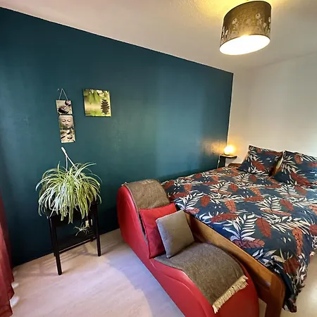 Meuble Les Domes Du Parc 6eme Διαμέρισμα Κλερμόν Φεράν