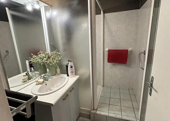 شقة Meuble Les Domes Du Parc 6eme كليرمونت-فيراند