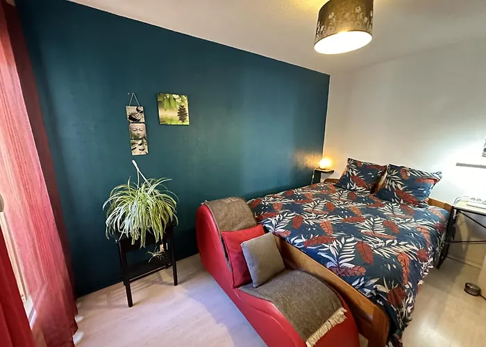 Meuble Les Domes Du Parc 6eme Апартаменты Клермон-Ферран